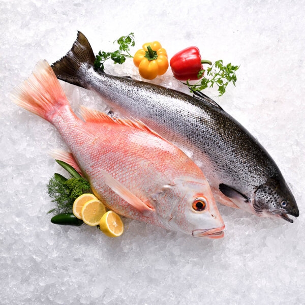 Frozen Seafood